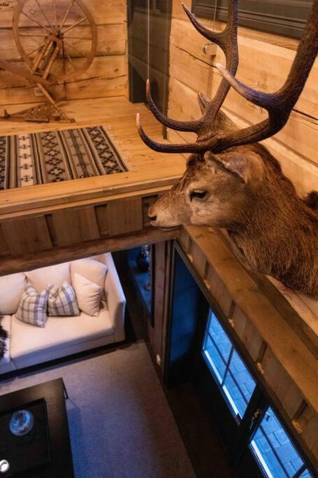 Roalden Mountain Lodge 斯特兰达 外观 照片